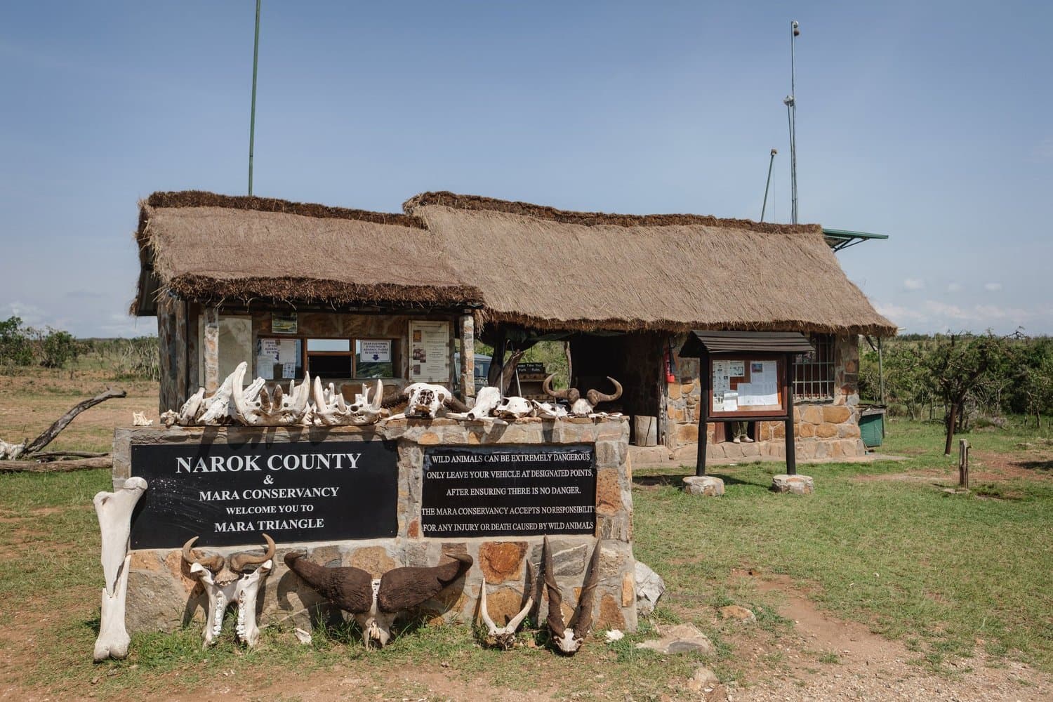 Conservation Safaris